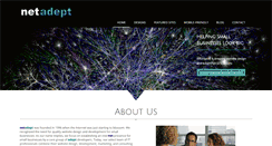 Desktop Screenshot of netadept.com